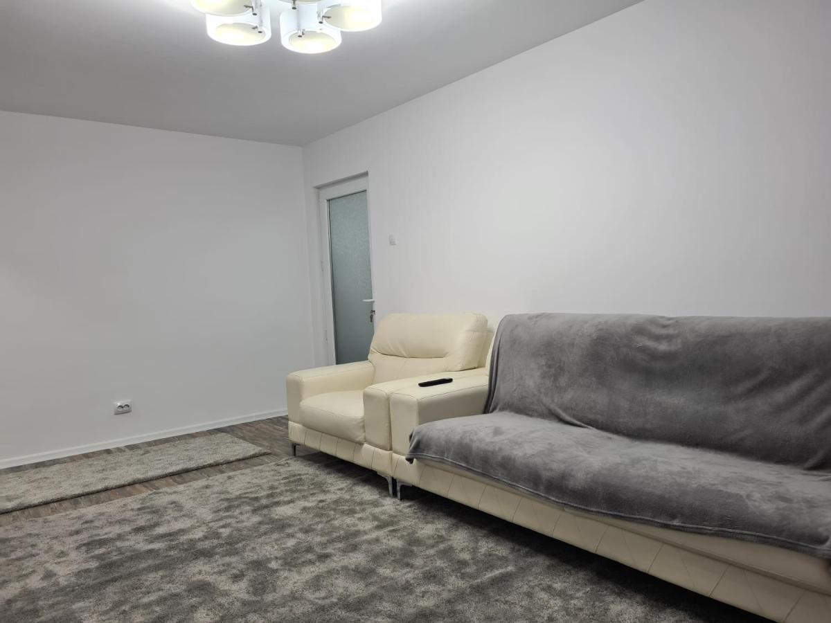 דירות טרגובישטה Apartament Terra מראה חיצוני תמונה